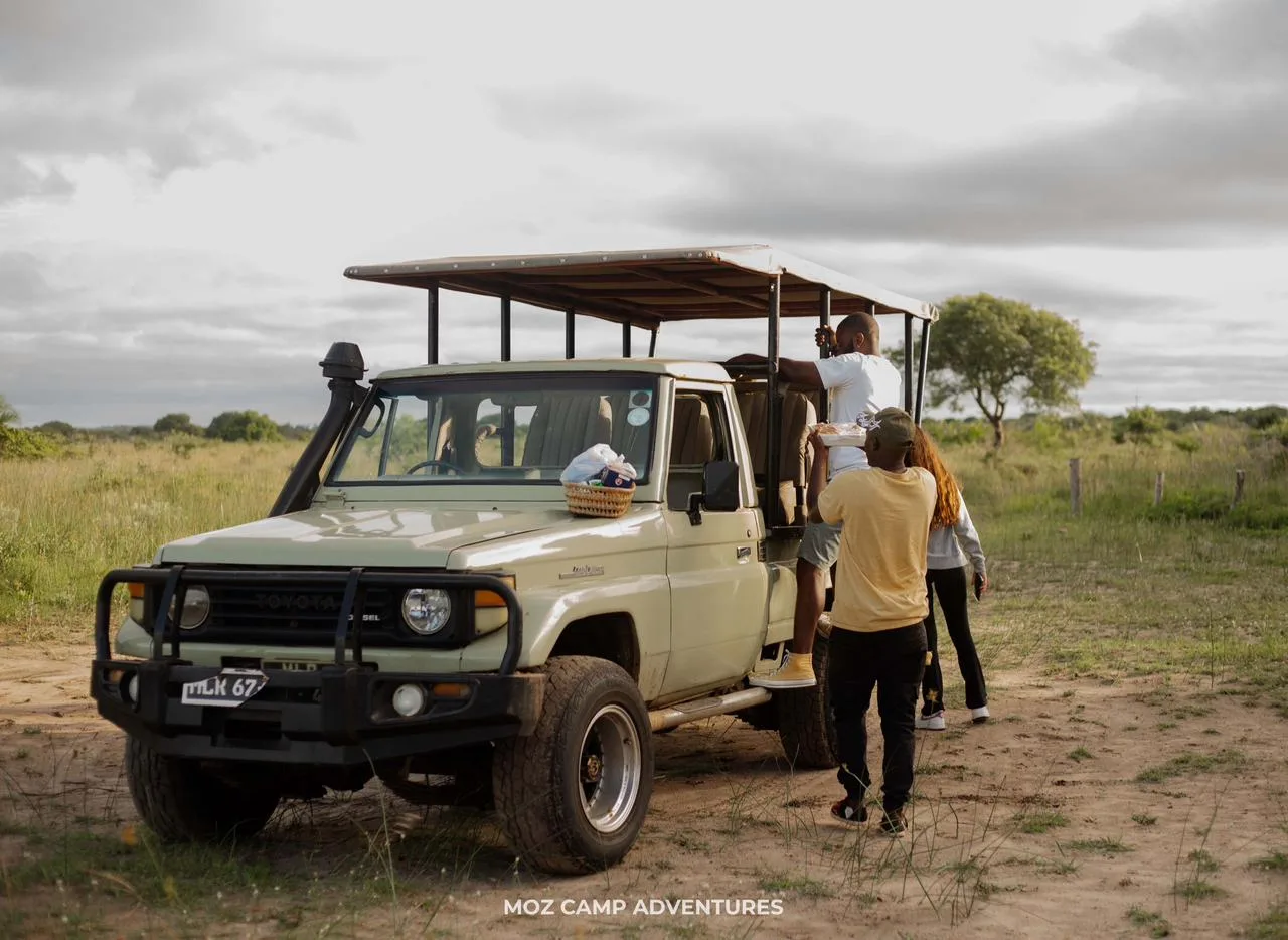 Safaris